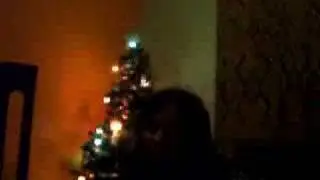 festive violence