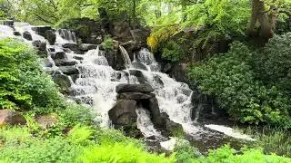 Virginia Water #England 🇬🇧 6/May/2024 #LondonLife#LoveLondon#ExploreLondon#LondonCity