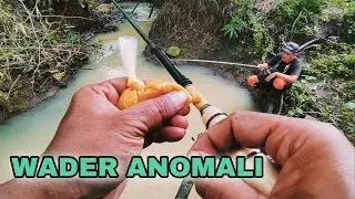 SPOT WADER ANOMALI