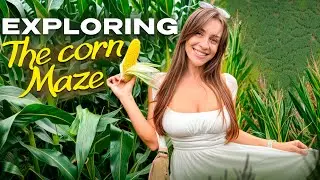 Josephine Jackson - maze in a corn field