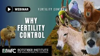 Too Many? Eight Reasons to Invest in Wildlife Fertility Control
