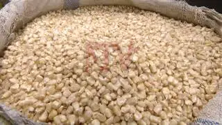 Kenya maize price to climb to UGX 6,629