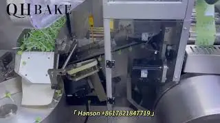 QH  Packing Equipment:Lollipop wrapping Machine, Candy packing machine, lollipop packing machine