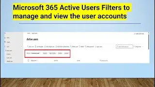 Microsoft 365 Active Users Filters to manage and view the user accounts