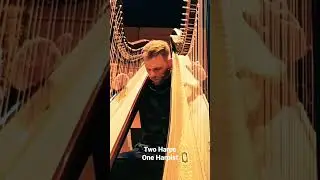 Subscribe for more! #music #harp #classicalmusic #harpsichord #piano #harpplayer #musician