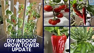 DIY Indoor Tower Garden Update - Peppers, Spinach &  Cherry Tomatoes