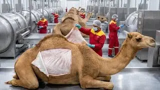 Inside The BILLION-DOLLAR Camel Leather Sneaker Factory