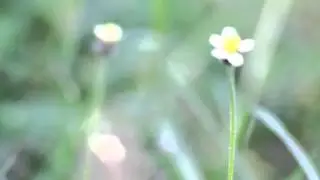 BOKEH TEST