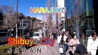 4K Walking tour from Harajuku to Shibuya. Tokyo, Japan. 