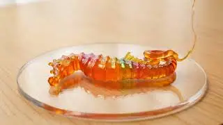 🧠 Mesmerizing ASMR: Jelly Seahorse Comes to Life 🐬