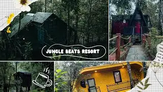 Wayanad luxury resort |  jungle beats resort | private pool villa #wayand #resort