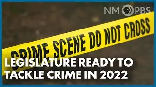 Legislature Ready to Tackle Crime in 2022 | The Line