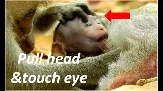 extremely pity baby Janna | Janet pull head Janna to stop milk & Tarzana touch eye & mouth so hardly
