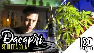 DACAPRI - se queda sola ((nuevo tema 2017))