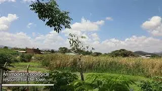 World Wetlands Day 2026.