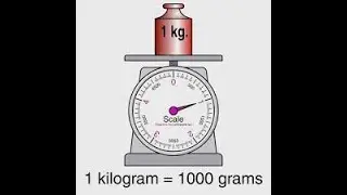 PHYSICS - PHYSICAL WORLD & MEASUREMENT