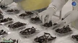 Блоки для выемки грунта на нашем собственном заводе | Science4you