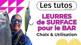 TOP 5 des LEURRES DE SURFACE pour PECHER le BAR