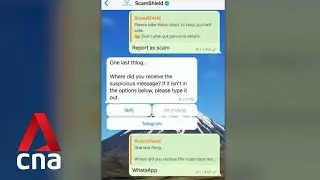 Govt's new anti-scam WhatsApp chatbot allows users to check suspicious messages for free