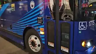 Both The Bronx Bound BxM1 Express Bus and The Nassau County Bound QM36 Express Buses