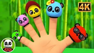 Famiglia Dei Dita Dei Panda Canzone di Apprendimento per Bambini | Pi&ugrave; Video