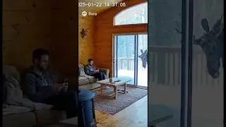 What&rsquo;s the moose doing #ai