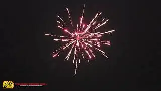 Little Earth (Planet Cakes) 9 Shots - Heron Fireworks - Vuurwerk24 - Oud&Nieuw 2025/2026