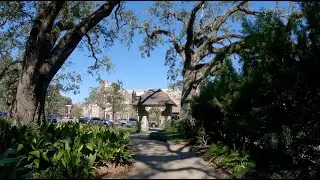 Exposition Boulevard in Audubon Park, New Orleans [A Moment]