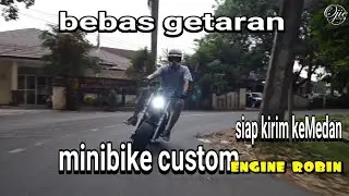 minibike custom R10 engine Robin