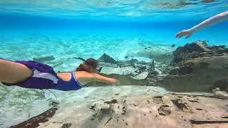 Staniel Cay Sunken Plane Wreck Diving