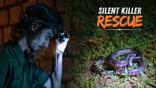 India's DEADLIEST Snake Rescue | MULTIPLE RESCUES PART 9