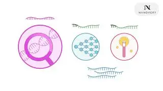 Exploring Nucleic Acid Nanorobotics with Nanovery: A Breakthrough in Biological Analysis