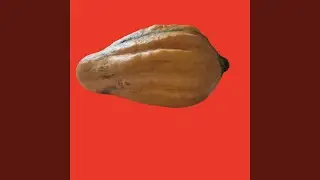 V&aring;ldsam