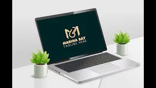 Logo design and branding guidelines