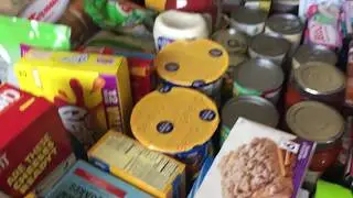 Large Food Haul :)