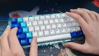 Aula win60 with tecsee HE/EC hybrid switches in holy60