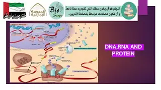 DNA, RNA AND PROTEIN - Part 1