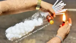 Shocking Results 😱 10 Cigarettes a day 🤯 What Happen Next 😲 Live Experiment in 2026