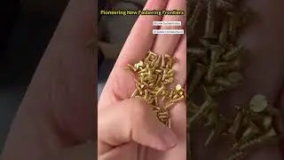 🎀 Slotted Flat Head M2*8 Brass Screw. #fasteners #shorts