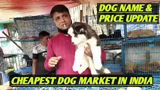 CHEAPEST DOG PUPPY MARKET IN INDIA |CURRENT PRICE & RARE BREED NAME GALIFF STREET KOLKATA|13DEC 2020