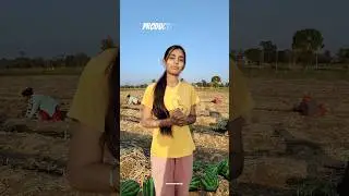 How to grow Watermelon plants🍉😅 #ytshorts #plants  #watermelon #farming #funny #comedy