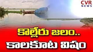 కొల్లేరు జలం..కాలకూట విషం | Kolleru Lake | Eluru | AP News | CVR News Telugu