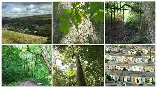 WALK19 Cymmer with Terry : CERDDED19 gyda Terry