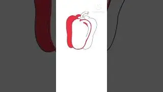 red capsicum  drawing