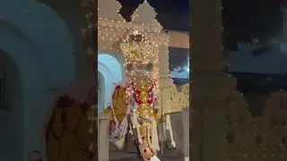 Sri dalanda perahara kandy Sri Lanka #worldtourism #travel #srilanka #traveldestinations #elephant