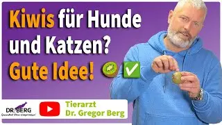 🥝 Kiwis f&uuml;r Hunde und Katzen? Gute Idee! I Tierarzt Dr. Gregor Berg