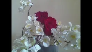 MAPAGPALANG UMAGA / GABI PO SA ATING LAHAT JAN. 3