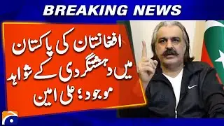 Pakistan Seeks Proof of Afghan Terror Nexus - Ali Amin Gandapur | Geo News
