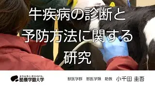 獣医学類　小千田　圭吾　｜　酪農学園大学　研究室・ユニット紹介
