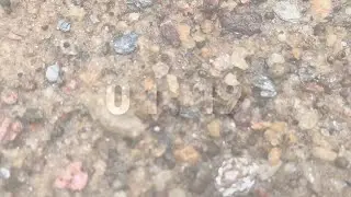 1 Minute and 19 seconds Brazilian waterfall countdown timer